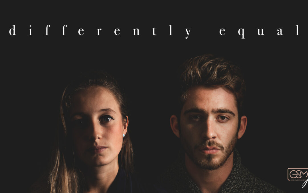 Differently Equal – Promo Graphic