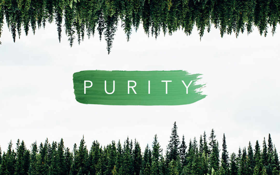 Purity Logo 2
